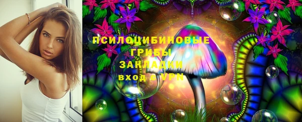 тгк Волоколамск
