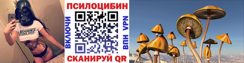 Псилоцибиновые грибы прущие грибы  Купить где  Камень-на-Оби 